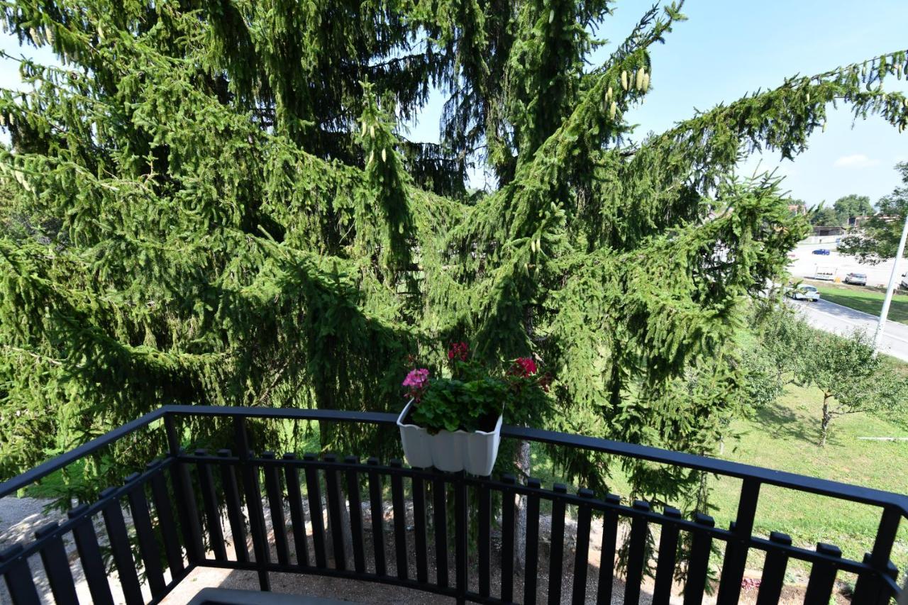 Apartmani Zagi Rakovica Exteriér fotografie